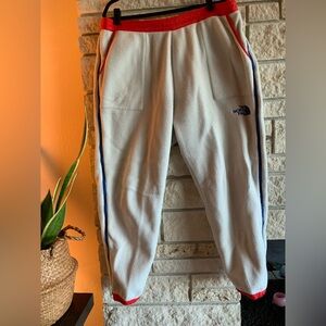The North Face Men’s Fleece Pants with Blue and Red Stripes